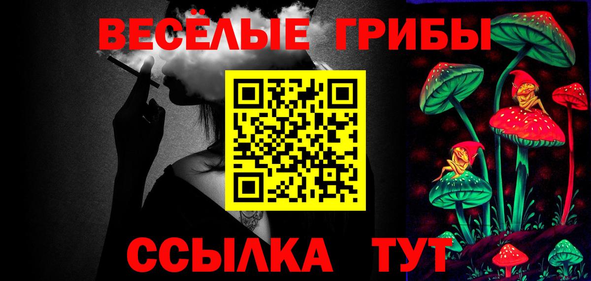Галлюциногенные грибы прущие грибы  Вход с VPN  Тара 