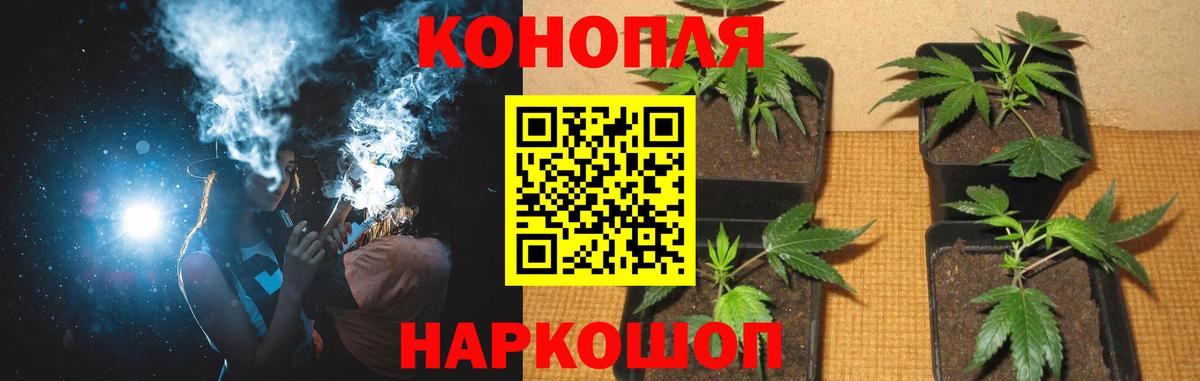 Марихуана Bruce Banner  Вход с VPN  Бошки марихуана LSD WEED  Шишки марихуана Bruce Banner  Тара  Канабис планчик 