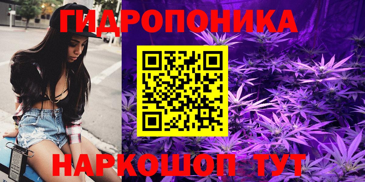 Бошки марихуана THC 21% Тара